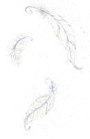 Feathers Fine Art Print