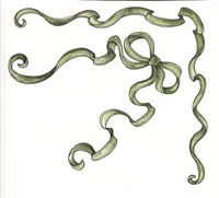 Green Ribbon Fine Art Print