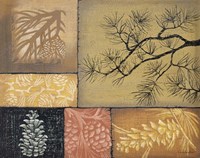 Pine Cones 1 Fine Art Print