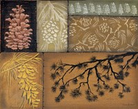 Pine Cones 2 Fine Art Print