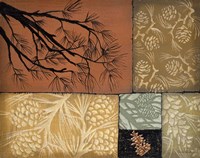 Pine Cones 4 Fine Art Print