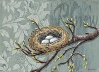 Renew Fine Art Print