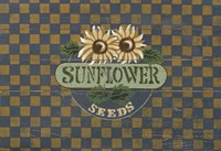 Sunflower Fine Art Print