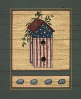 American Bird House Fine Art Print