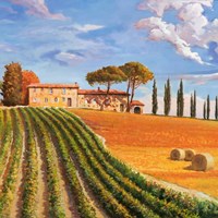 Colline Toscane (Detail) Fine Art Print