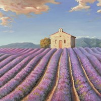 Campi di Lavanda (Detail) Fine Art Print