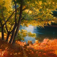 Radura sul Fiume Fine Art Print