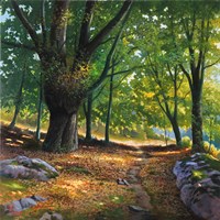 Luce nel Bosco Fine Art Print