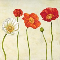 Coquelicots (Detail) Fine Art Print