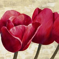 Red Tulips (Detail) Fine Art Print