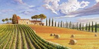 Colline Toscane Fine Art Print