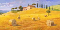 Colline in Toscana Fine Art Print