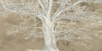 White Oak Fine Art Print