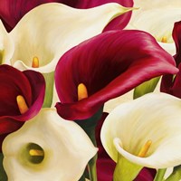 Calla Composition (Detail) Fine Art Print
