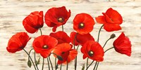 French Poppies Fine Art Print