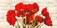 French Tulips Fine Art Print