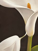 Calla Moderna I Fine Art Print