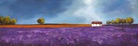 Field of Lavender II Fine Art Print