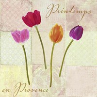 Printemps en Provence Fine Art Print