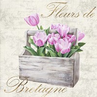 Fleurs de Bretagne Fine Art Print