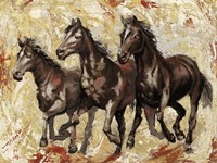 Nel vento Fine Art Print