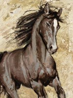 Maestoso Fine Art Print