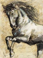 Selvaggio Fine Art Print