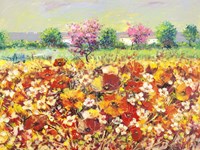 Colori di Primavera Fine Art Print