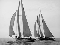 Sailboats Race during Yacht Club Cruise Fine Art Print