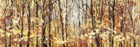 Nel Bosco Assolato Fine Art Print