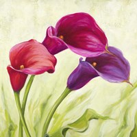 Calle Danzanti (Detail) Fine Art Print