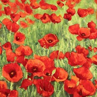 Poppies Fine Art Print