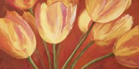 Orange Tulips Fine Art Print
