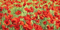 Poppy Field Fine Art Print