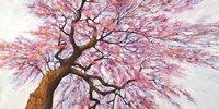 Sotto l'albero in Fiore Fine Art Print