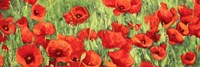 Poppy Field (Detail) Fine Art Print
