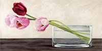 Modern Composition, Tulips Fine Art Print