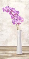Orchid Arrangement Fine Art Print
