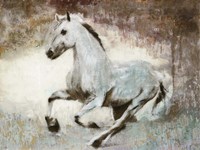 White Star Fine Art Print