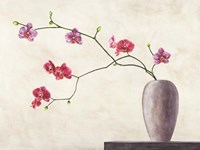 Balance Fine Art Print