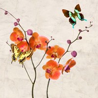 Orchids & Butterflies I Fine Art Print