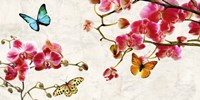 Orchids & Butterflies Fine Art Print