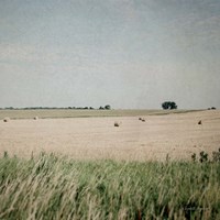 Neutral Country II Fine Art Print