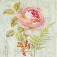 Natural Flora I Fine Art Print