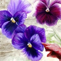 Pansies II Fine Art Print