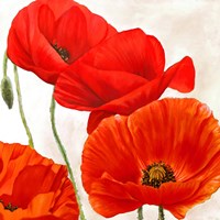 Poppies II Fine Art Print