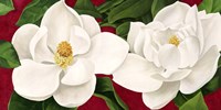 Magnolie in Fiore Fine Art Print