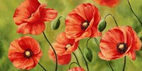 Field of Poppies Fine Art Print