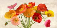 Poppies in Spring Fine Art Print
