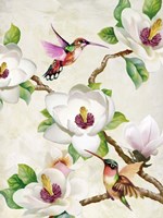 Magnolia and Humming Birds Fine Art Print